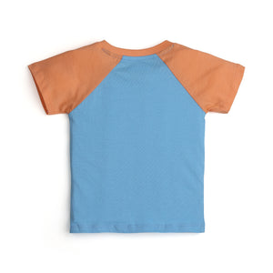 RAGLAN T SHIRT